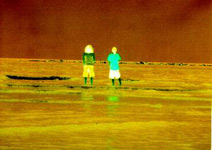 Ocean Pictures