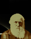 c. darwin